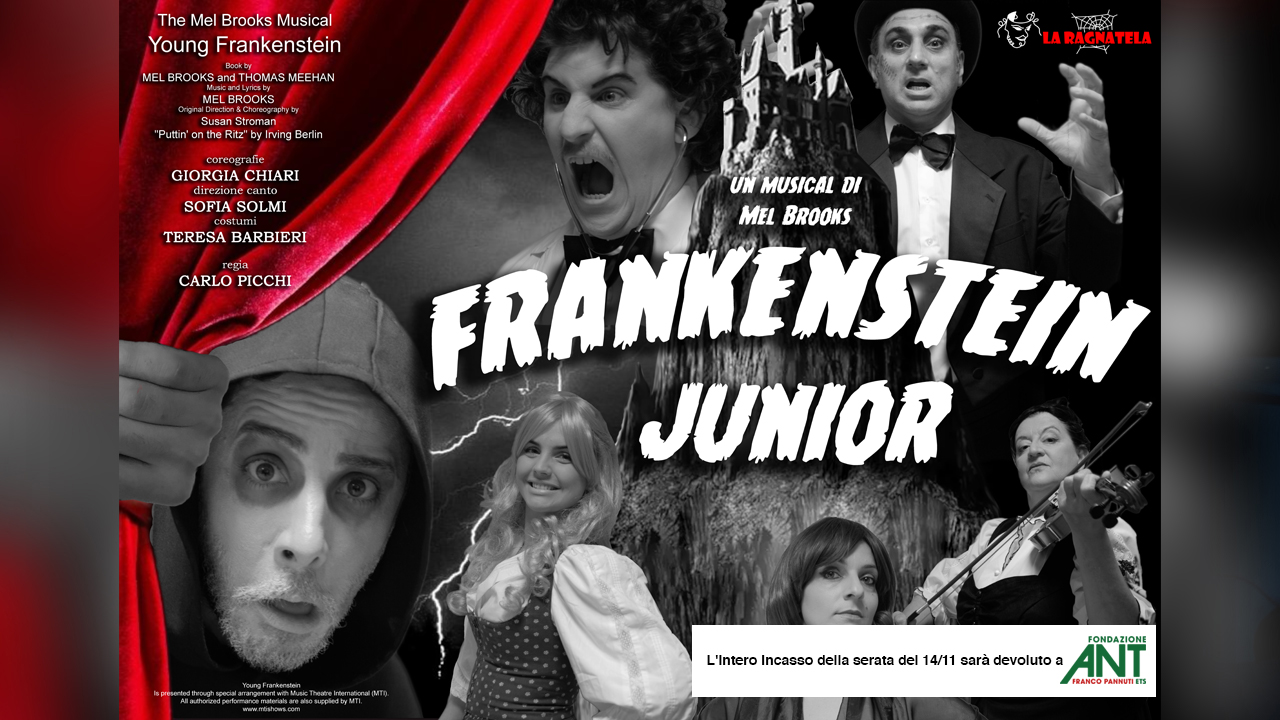 FRANKENSTEIN JUNIOR